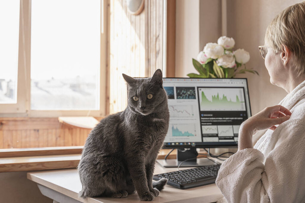 Szürke macska ül az asztalon a munkahelyen informatikai felszereléssel otthon. Egy nő otthoni ruhában számítógépen dolgozik a monitor előtt. Rugalmas munkaidő és távmunka. - Fotó, kép