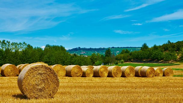 Duże rolki słomy leżące na polu koszenia po zbiorach zboża - w sierpniu w pobliżu miasta Grinzane Cavour w prowincji Cuneo, region Piemont, północne Włochy - Zdjęcie, obraz