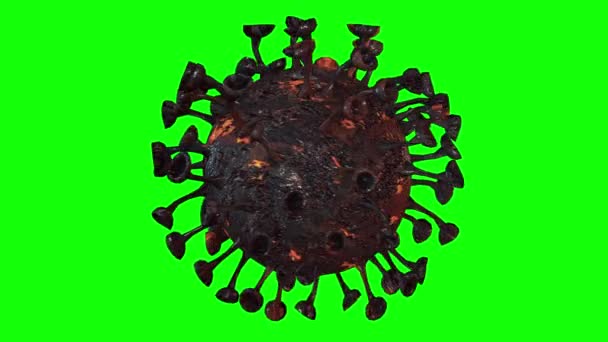 A Coronavirus 2019-ncov patogén sejtjei. Zöld képernyő (Chroma gomb). Hurok. - Felvétel, videó