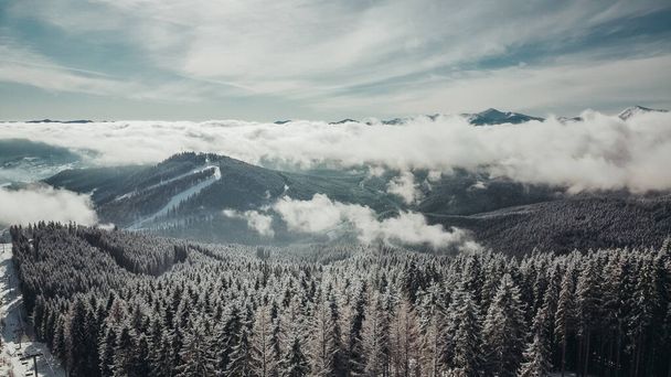 Blue sky and snow-covered hills. Coniferous trees grow in the mountains. Many fir trees in the highlands. Prominent snow-capped peaks. Shooting from a height, with a quadrocopter. Mountain view. - Photo, Image