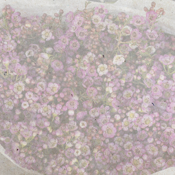 square format. A variety of colors near the Liberty store in London. Large bouquets in tin vases. waxflower. textured stylish old paper background, - Photo, Image