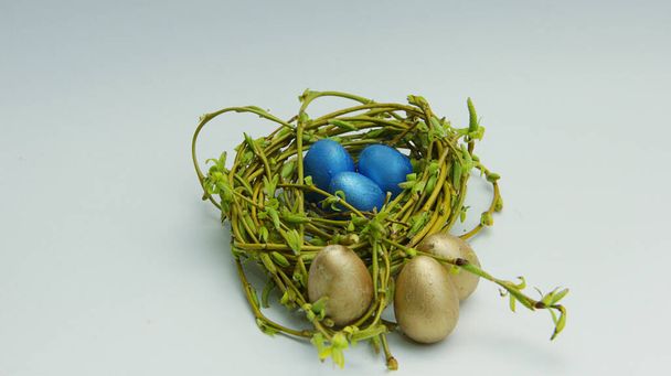 blue small eggs in the nest - Foto, Imagen