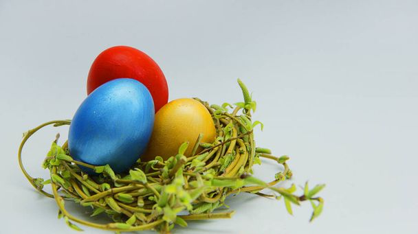 colorful Easter eggs in a nest of young willow branches - Foto, immagini