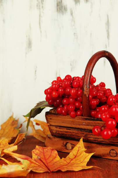 Red berries of viburnum in basket with yellow leaves on table on wooden background - Photo, Image