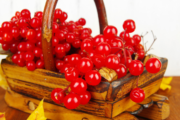 Red berries of viburnum in basket with yellow leaves on table on wooden background - Фото, изображение