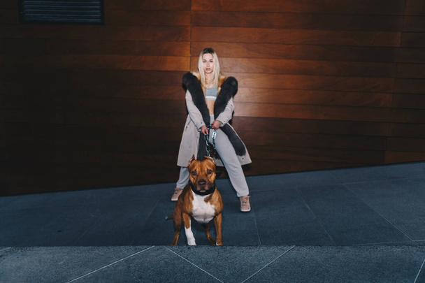 Long haired blonde, wearing a sport suit, a white jacket with fur. Gracefully holding a pitbull by wide leash chain. Posing around modern wooden background - Foto, afbeelding