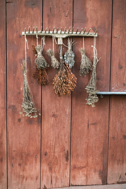 Dried flowers bouquets on rustic wooden red wall background. Bouquets of dried wildflowers hanging on the wooden wall in countryside - Foto, Bild