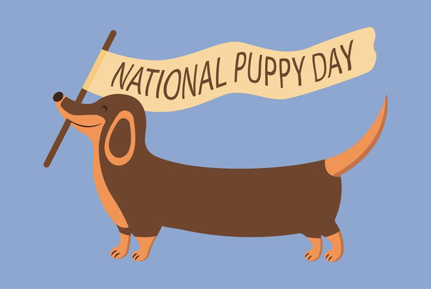 メリー・ダックスフントには国旗が掲揚され、国立子犬の日が記されている。素敵な動物、人々の親友、お気に入りのペット。全国犬の日。カラフルなイラスト漫画スタイルのベクトル - ベクター画像