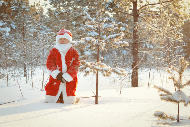Portrait of boy dressed as Santa - Valokuva, kuva