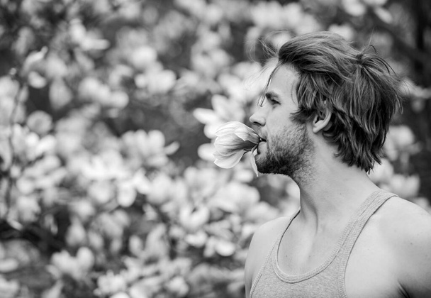 Spring beauty. Hairdo styling. Hair care and beauty. Unshaven man magnolia bloom. Beautiful hairstyle. Man flowers background defocused. Botany nature. Male beauty. Hipster enjoy blossom aroma - Fotó, kép
