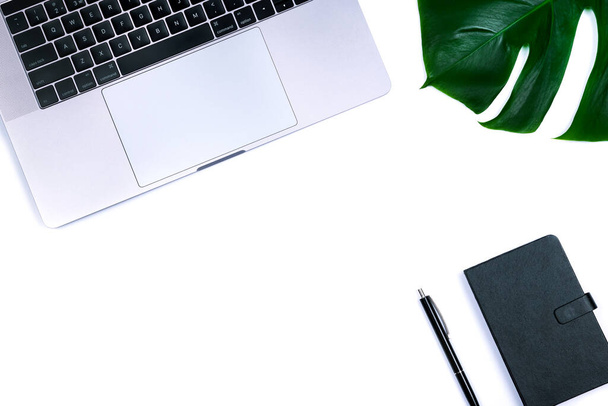 Composition de l'espace de travail de bureau avec ordinateur portable, plante à feuilles tropicales Monstera, ordinateur portable, bougie, stylo et tasse de café
  - Photo, image