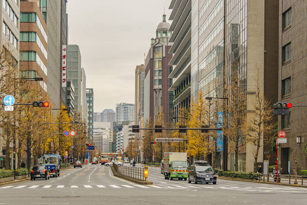 TOKYO, ΙΑΠΩΝΙΑ, ΙΑΝΟΥΑΡΙΟΣ - 2019 - Αστική σκηνή σε αυτοκινητόδρομο χαμηλής κυκλοφορίας στην περιοχή Chiyoda, tokyo, Ιαπωνία - Φωτογραφία, εικόνα