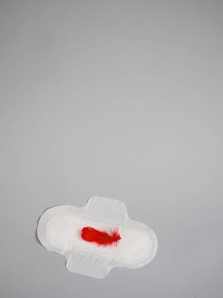 Almohadilla menstrual con plumas rojas sobre fondo gris. Concepto minimalista de fotografía de bodegones. Mujeres días críticos, concepto de ciclo de menstruación ginecológica
 - Foto, Imagen
