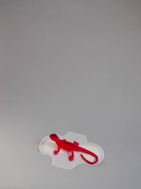 Menstruatiepad met rode hagedis op grijze achtergrond. Minimalistisch stilleven fotografie concept. Vrouwen kritische dagen, gynaecologische menstruatiecyclus concept - Foto, afbeelding