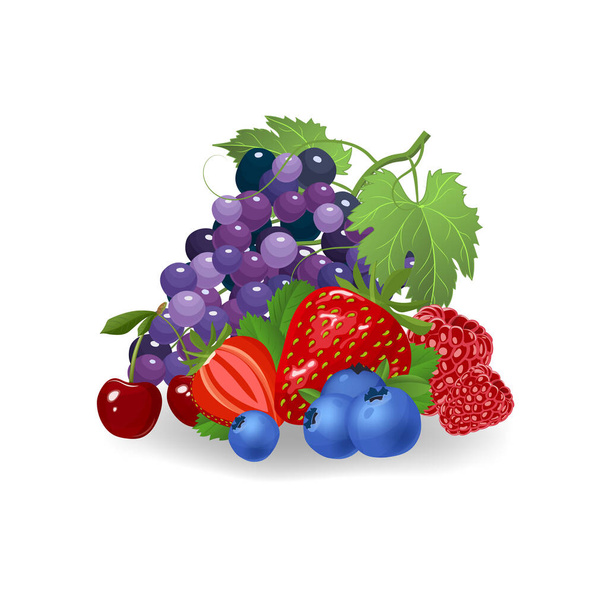 Fresh berries vector illustration. Healthy diet concept. Organic berries. - Vector, Image