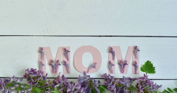 Mom λέξη γίνεται με πέταλα λουλουδιών και φύλλα. Ημέρα της μητέρας φυσικό δημιουργικό υπόβαθρο έννοια. Αντιγραφή χώρου - Φωτογραφία, εικόνα