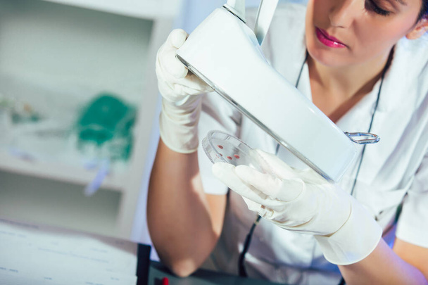 Lab technician assistant analyzing a blood sample at laboratory. Medical, pharmaceutical and scientific research and development concept. - 写真・画像