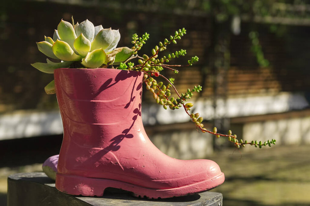 Recycled pink boot as a pot with natural plants in a garden under sunlight. Concept of recycling, ecology and sustainability. Care of nature, the environment and the planet. - Photo, image