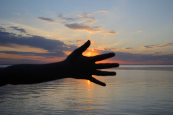 hand on sunset background - Photo, Image