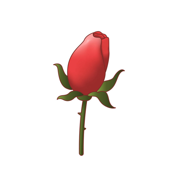 Red rose isolated. Vector illustration - Вектор, зображення