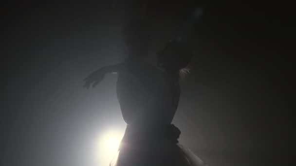 Professional ballet couple dancing in spotlights smoke on big stage. Beautiful young woman and man on floodlights background. Emotional duet performing choreographic art. Slow motion. 4k - Footage, Video