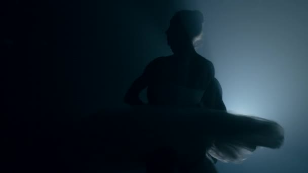 Silueta de bailarinas de ballet profesionales y sensuales en escena de humo oscuro interpretada por una pareja enamorada. Coreógrafos practicando y mostrando arte clásico. 4k
 - Metraje, vídeo
