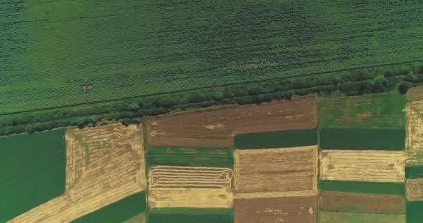 Images aériennes de paysages agricoles divisés en sections avec diverses cultures
. - Séquence, vidéo