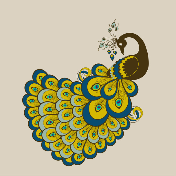 Peacock - Vektori, kuva