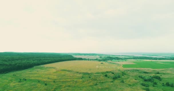 Luftaufnahme über ein riesiges grünes Gebiet mit einem Tal bestellter Felder und Wälder unter blauem Himmel. - Filmmaterial, Video