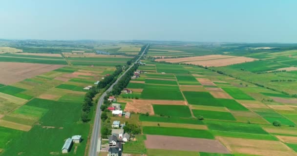Luftaufnahmen von grünen Graslandschaften, die von Landwirten nach der Aussaat gemäht und gepflügt wurden. - Filmmaterial, Video
