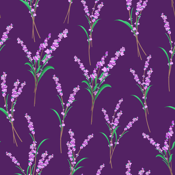 Wild lavender flowers seamless pattern. - Vetor, Imagem