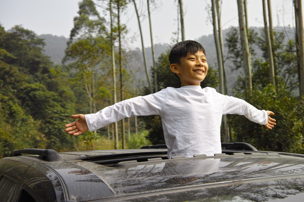 šťastný chlapec cestování v autě - Fotografie, Obrázek