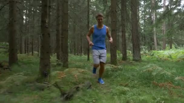 Terli, atletik bir adam cennetlik yeşil ormanda koşuyor.. - Video, Çekim