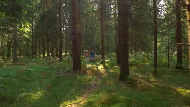 SLOW MOTION: Glückliche Trainingspartner laufen durch den sonnigen Wald. - Filmmaterial, Video