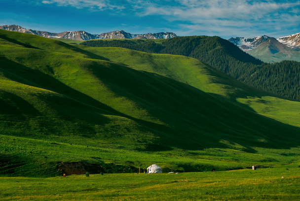 Alpine meadow at Assy Plateau, Almaty city, Kazakhstan - Photo, Image