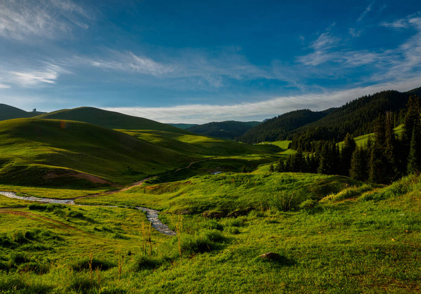 カザフスタンのアルマトイ市Assy高原にある高山草原 - 写真・画像