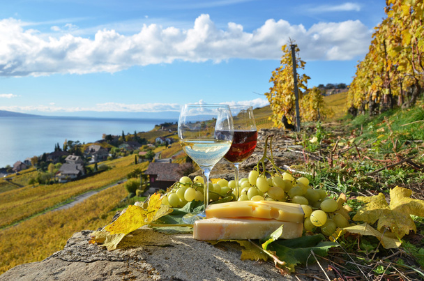 Два бокала, сыр и виноград на террасе виноградника
 - Фото, изображение