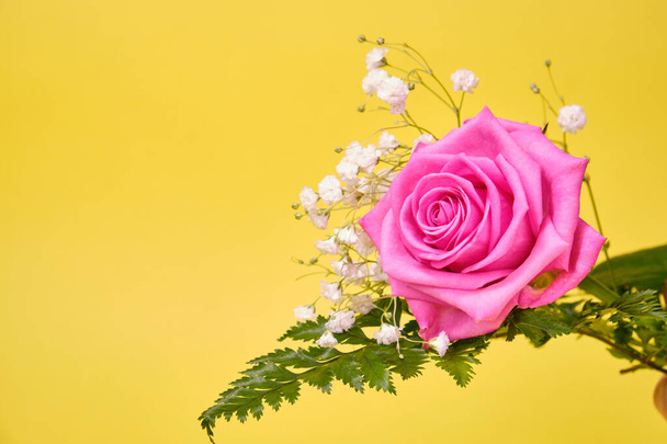Pink rose with a leaf of green fern and a hypsophila Bush on a yellow background, - Valokuva, kuva