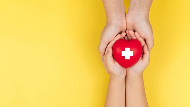Día de la Cruz Roja Mundial, manos de adultos y niños sosteniendo el corazón rojo, salud, amor y concepto de seguro familiar
 - Foto, Imagen