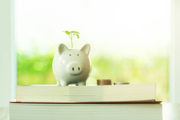 Little tree growing on saving piggy bank on book in saving money for education concept - Fotografie, Obrázek