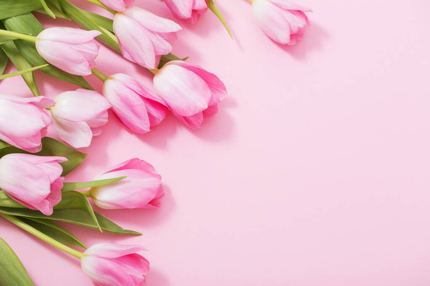 beautiful pink tulips on pink background - Фото, зображення