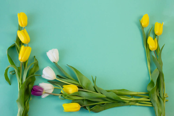 holiday card with tulips on a green background - Φωτογραφία, εικόνα