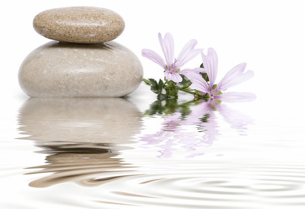 Zen-Balance mit Wildblumen 10. - Foto, Bild