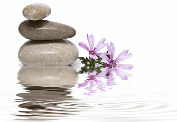 Zen balance with wild flowers 9. - Photo, Image
