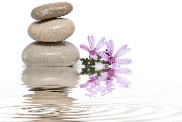 Équilibre zen avec les fleurs sauvages 8
. - Photo, image