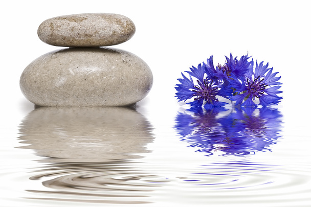 Balance zen con flores silvestres 3
. - Foto, Imagen