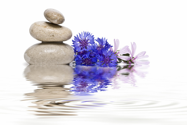 Zen-Balance mit Wildblumen 2. - Foto, Bild