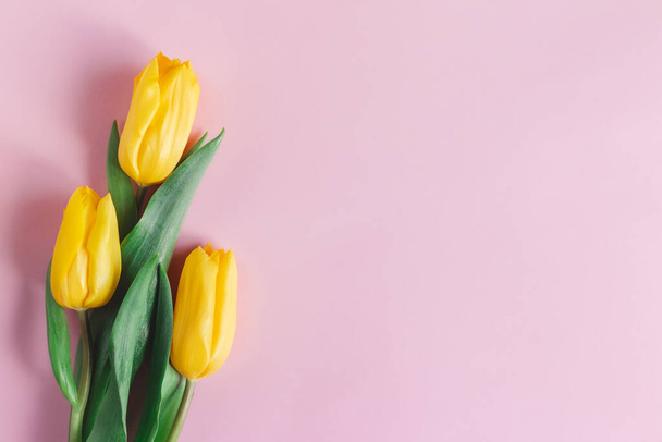 Gyengéd sárga tulipán pasztell rózsaszín háttérrel. Üdvözlőlap anyák napjára. Lapos fekvés. A szöveg helye.  - Fotó, kép