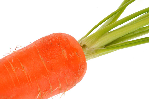 Сырая морковь крупным планом на белом фоне
 - Фото, изображение
