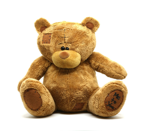 Urso de pelúcia de brinquedo com a inscrição "Me to you" em um fundo branco
 - Foto, Imagem
